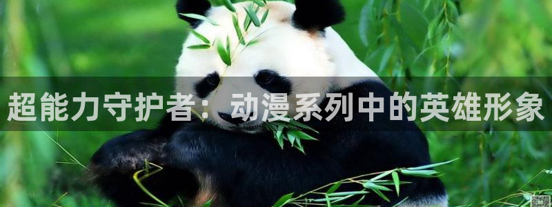 动漫天堂剧场版:超能力守护者:动漫系列中的英雄形象配图