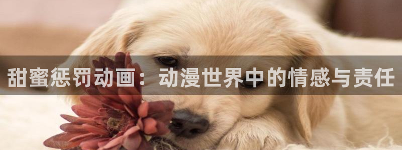 动漫天堂手机站:甜蜜惩罚动画:动漫世界中的情感与责任配图