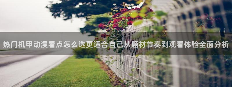 动漫天堂精品作品:热门机甲动漫看点怎么选更适合自己从题材节奏到观看体验全面分析配图