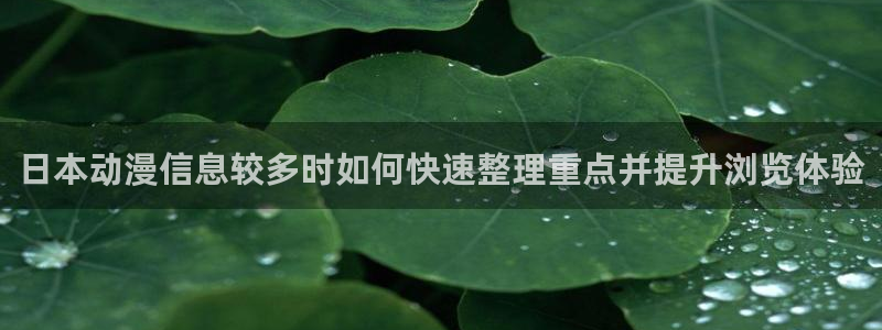 动漫天堂动漫电影：日本动漫信息较多时如何快速整理重点并提升浏览体验配图