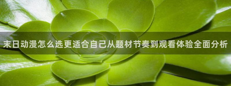 动漫天堂日漫大全:末日动漫怎么选更适合自己从题材节奏到观看体验全面分析配图